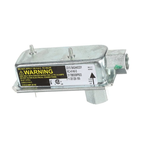 12295183-1-M-GE-WB21X28836-SAFETY VALVE SINGLE