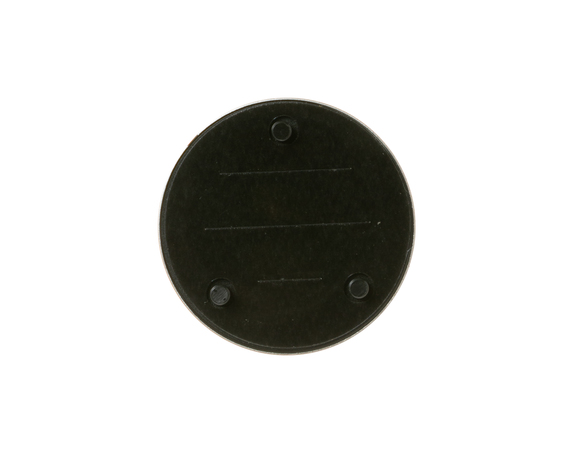 12295259-1-M-GE-WB02X29479- BADGE Assembly