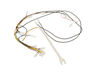 MAIN HARNESS – Part Number: WB18X29712