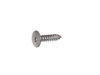 SCR 8- 18 BA OVT 5/8 Stainless Steel – Part Number: WR01X24363