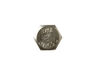Scr 1/4-20x.5 Hex Cap Ss – Part Number: WR01X21110