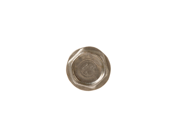 12343285-1-M-GE-WH02X25419-SCREW