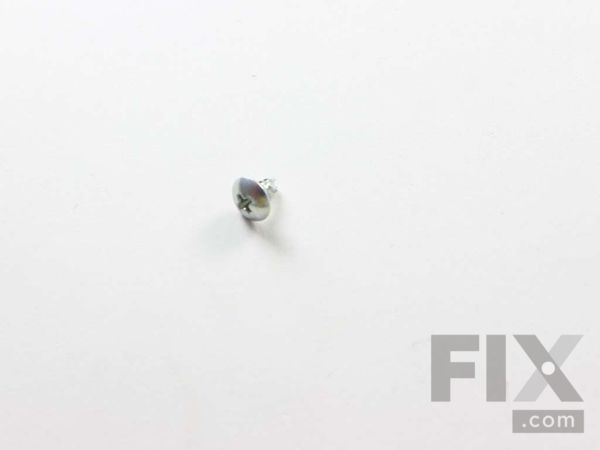 12343304-1-M-GE-WH02X26927-CAPACITOR SCREWS