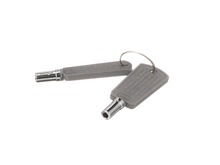 KEY SET – Part Number: WR01X29793
