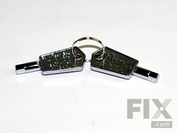 12344711-1-M-GE-WR01X29917-DOOR KEY