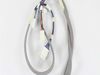 12348144-2-S-Whirlpool-W11170612-Wire Harness