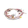 12381076-1-S-LG-EAD62887204-HARNESS,SINGLE