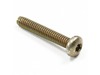 Lawn & garden equipment engine screw – Part Number: 651042