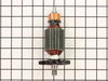 12495609-2-S-DeWALT-903660-ARMATURE