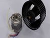 BLOWER MOTOR ASM – Part Number: WB26X30786
