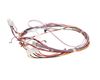12585463-2-S-Frigidaire-5304516767-HARNESS
