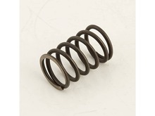 Spring valve – Part Number: 0G84420124