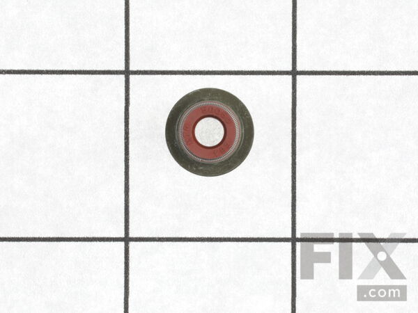 12610794-1-M-Briggs and Stratton-594096-Seal-valve