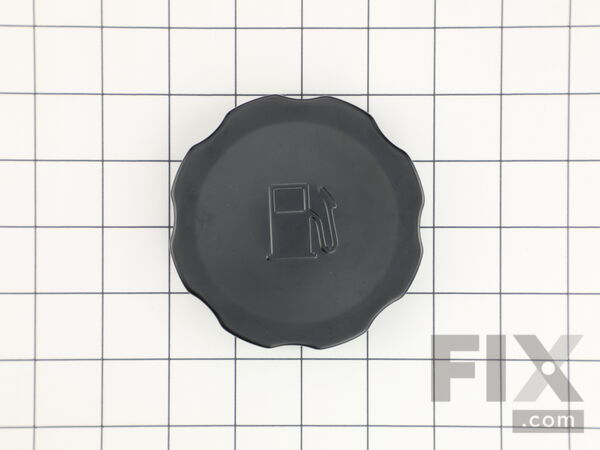 12628169-1-M-Briggs and Stratton-319587GS-Cap-fuel