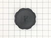 Cap-fuel – Part Number: 319587GS