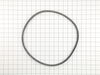 Belt – Part Number: 584216102