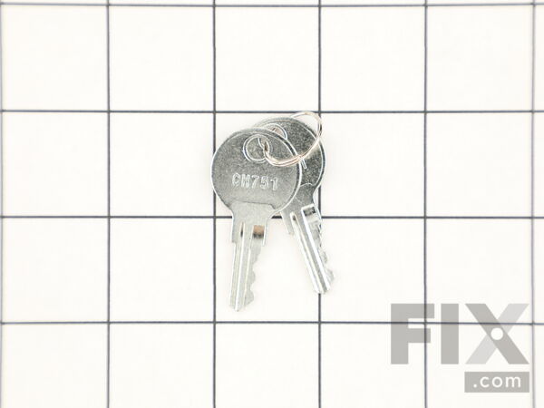 12636421-1-M-Briggs and Stratton-314290GS-Key-latch