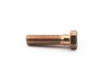 Screw-hex cap – Part Number: 710-05097