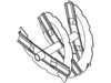 Auger – Part Number: 585544201