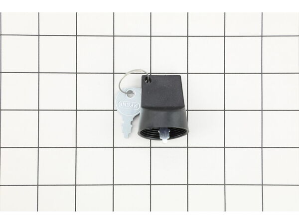 12674020-1-M-Briggs and Stratton-847146-Key set