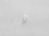 Clip – Part Number: F90804W00AP