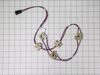 Switch Harness – Part Number: WB18X31213