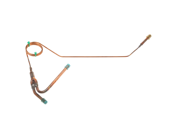 12710334-1-M-GE-WJ53X24283-CAPILLARY