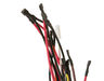HARNESS MAIN – Part Number: WB18X31420