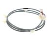 12717927-3-S-Frigidaire-5304519048-Refrigerator Wiring Harness