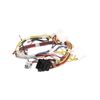 HARNESS WIRE GRIDDLE – Part Number: WB18X32533