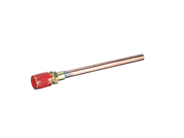 12723499-1-M-GE-WR87X30876-R600 PROCESS VALVE W/ RED CAP