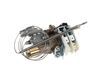 THERMOSTAT – Part Number: A13030601