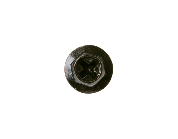 12725453-1-M-GE-WB01X32186-SCREW