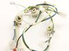 HARNESS BURNER BOX – Part Number: WB18X31495