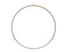 1480805-3-S-GE-WB06X10705        -Rotating Ring
