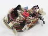 Harness, Wiring (Includes Item – Part Number: 3958083
