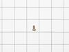 SCREW – Part Number: 215503204