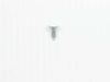1525987-2-S-Frigidaire-240383407         -Refrigerator Screw