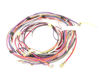 1528184-1-S-Frigidaire-316443042         -WIRING HARNESS