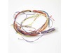 HARNESS – Part Number: 318224959