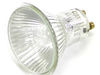 LAMP – Part Number: 5304455048