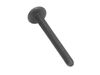 1533269-2-S-Frigidaire-5304459529        -SCREW
