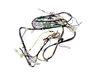 MAIN HARNESS GAS – Part Number: WE08X30589