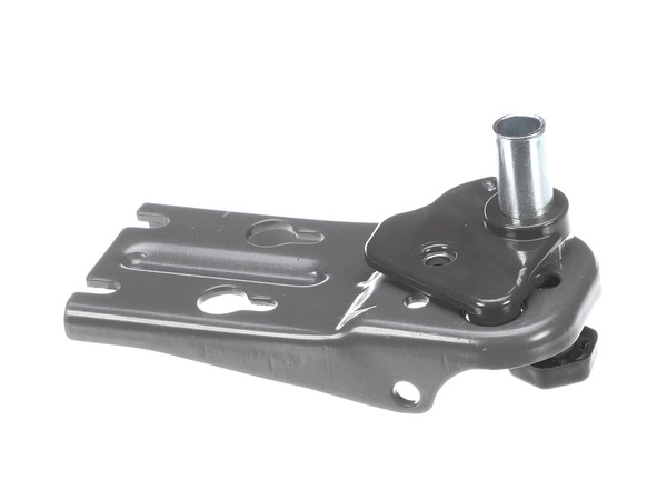 16218729-1-M-Frigidaire-5304525238-Hinge Assembly