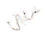 DC Harness Assembly – Part Number: WD21X26860