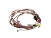 HARNESS – Part Number: 5304523870