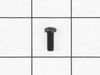 Lock Screw – Part Number: 039028007004