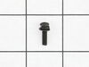 Screw W/Washer – Part Number: 039028007005