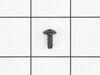 Tap Screw – Part Number: 079074001047