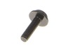 16283399-2-S-Toro-137-3013-Screw-pph, Sems